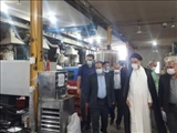 امیر اسماعیل پورروشن:همکاری بخش خصوصی ودولتی راهکار عبور از مشکلات است