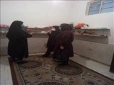 رئیس اداره بهزیستی شهرستان ملارد از فعالیت سه گروه همیار در این شهرستان خبر داد. 