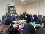 رئیس اداره بهزیستی شهرستان ملارد از پیگیری سریع امور مربوط به متقاضیان وام اشتغال خبر داد. 