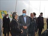 ادامه اجرای طرح جنگلکاری 50 هکتاری درقپچاق
