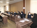 کارگاه آموزشی خودارزیابی و بسته خدمتی سلامت جوانان برگزار شد