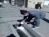 طعمه گذاری در سطح شهرآغاز شد.

