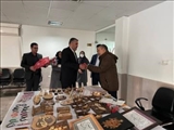 بازدید فرماندار ملارد از اداره بهزیستی به مناسبت هفته معلولین 