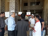 بازدید سرزده معاون فرماندار ملارد از نانوایی های شهرک امید