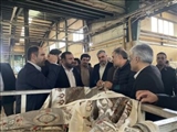 بازدید دادستان عمومی و انقلاب تهران از واحد‌های تولیدی در شهرک صنعتی صفادشت