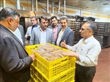 سرپرست فرمانداری ملارد از واحد صنعتی نان سحر بازدید کرد