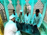 ​​​​​​​بقعه متبركه امام زاده حمزه (ع) صفادشت غبار روبی و عطر افشانی شد