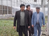 بازدید فرماندار و مسئولان قضائی ملارد از طرح توسعه ای شرکت سلول فناور دارو