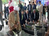 پنجمین دور از طرح