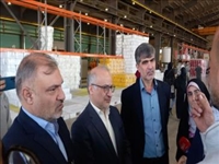 بازدید معاون سازمان بازرسی کشور از  ۵ واحد تولیدی شهرک های صنعتی صفادشت و دهک