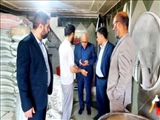 تجهیز ۵۵ درصد نانوایی‌های ملارد به سوخت دوم برای مدیریت شرایط بحران