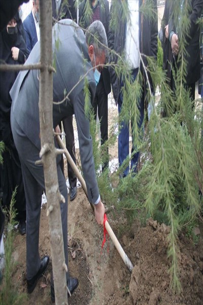 غرس چند اصله نهال به مناسبت روز