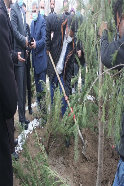 کاشت بیش از ۱۵۰۰ نهال مثمر در سطح