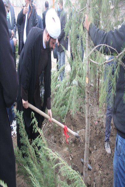 کاشت بیش از ۱۵۰۰ نهال مثمر در سطح