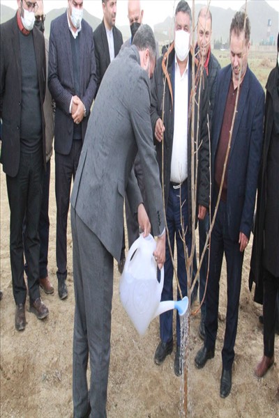 آغازعملیات نهال کاری  پارک ۸ هکتاری