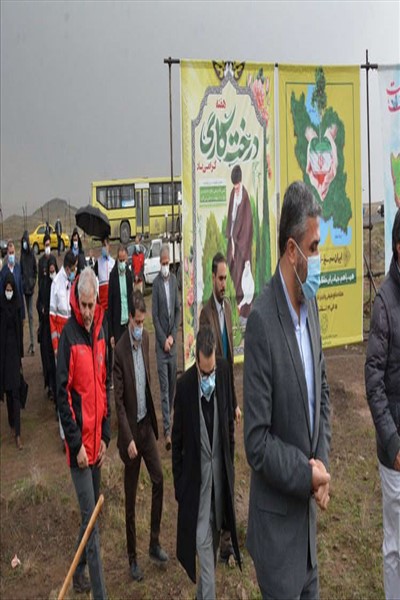 ادامه اجرای طرح جنگلکاری 50 هکتاری