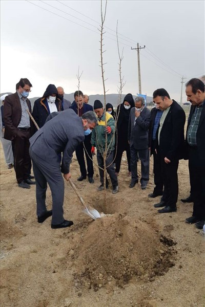 گرامیداشت هفته منابع طبیعی در شهرستان