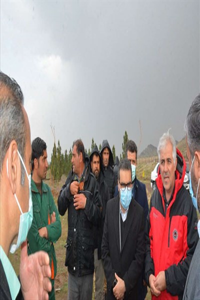 ادامه اجرای طرح جنگلکاری 50 هکتاری