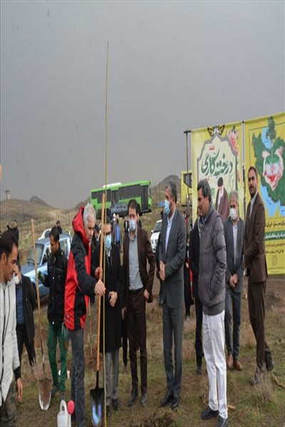 ادامه اجرای طرح جنگلکاری 50 هکتاری