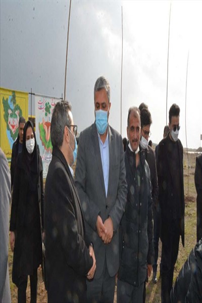 ادامه اجرای طرح جنگلکاری 50 هکتاری