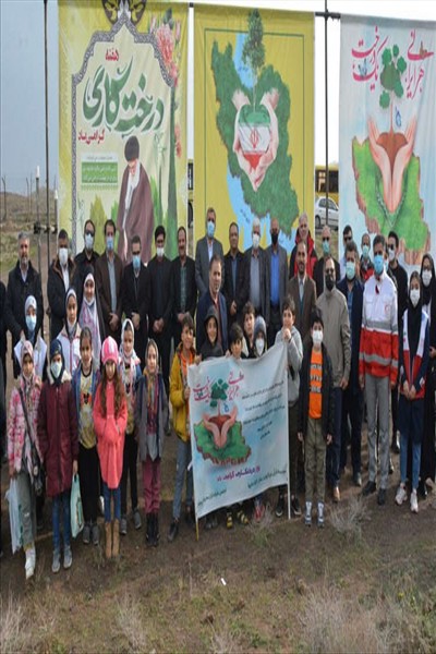 ادامه اجرای طرح جنگلکاری 50 هکتاری