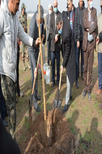 ادامه اجرای طرح جنگلکاری 50 هکتاری