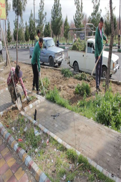 جمعه دیگر با کار جهادی

