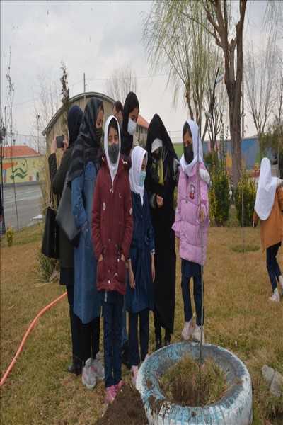 برگزاری مراسم درختکاری با محوریت