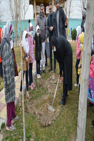 برگزاری مراسم درختکاری با محوریت