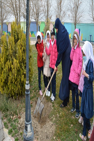 برگزاری مراسم درختکاری با محوریت