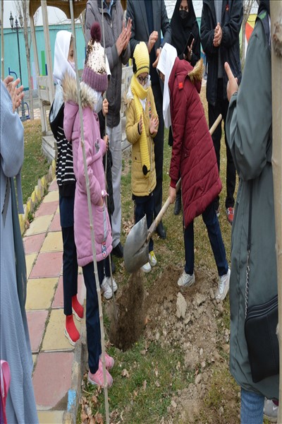 برگزاری مراسم درختکاری با محوریت