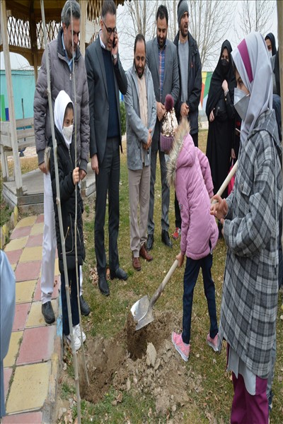 برگزاری مراسم درختکاری با محوریت