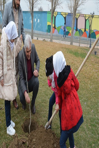 برگزاری مراسم درختکاری با محوریت