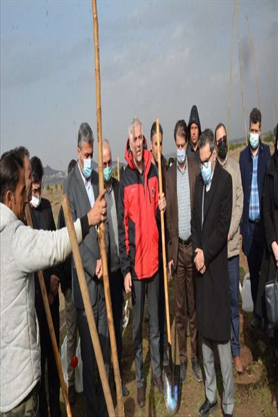 ادامه اجرای طرح جنگلکاری 50 هکتاری