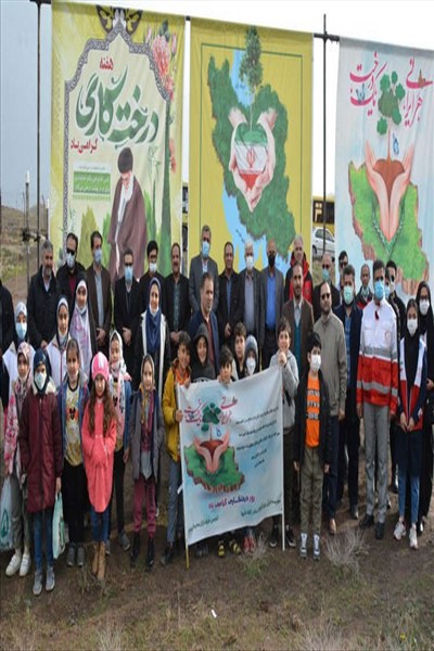 ادامه اجرای طرح جنگلکاری 50 هکتاری