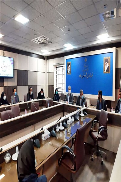 برگزاری جلسه کمیته فرعی مشاغل خانگی