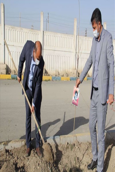 ۷۲ اصله نهال مثمر به یاد ۷۲شهید