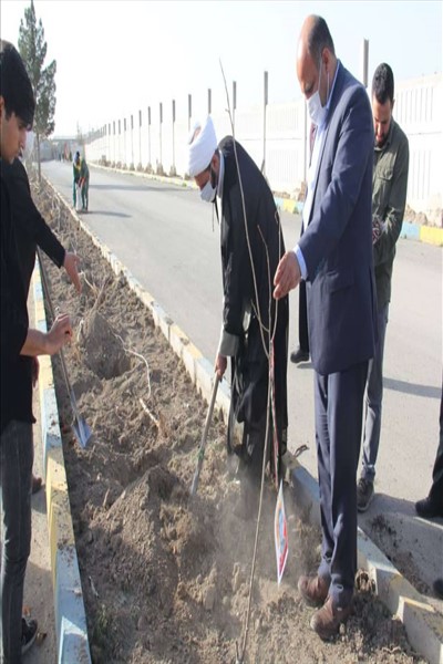 ۷۲ اصله نهال مثمر به یاد ۷۲شهید