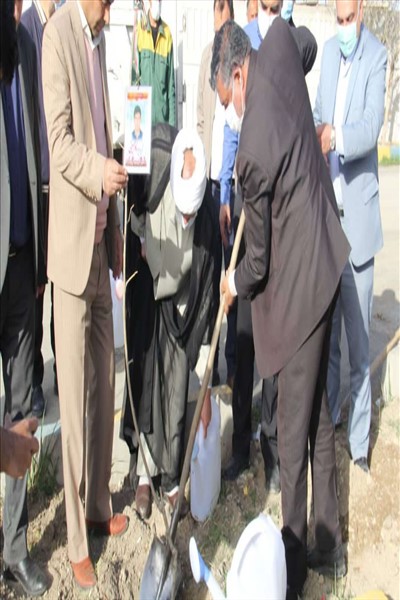 ۷۲ اصله نهال مثمر به یاد ۷۲شهید