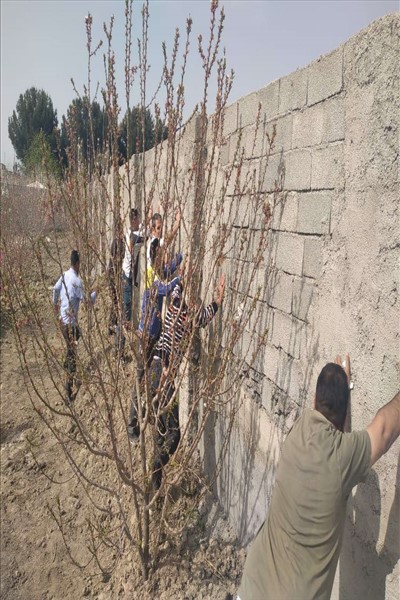 ساخت و سازهای غیر مجاز در ملارد