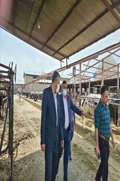 بازدید سرپرست فرمانداری ملارد از