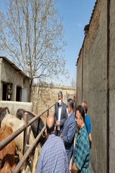 بازدید سرپرست فرمانداری ملارد از