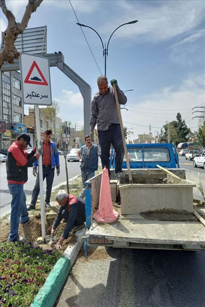 نوسازی تابلوهای ترافیکی سطح شهر

