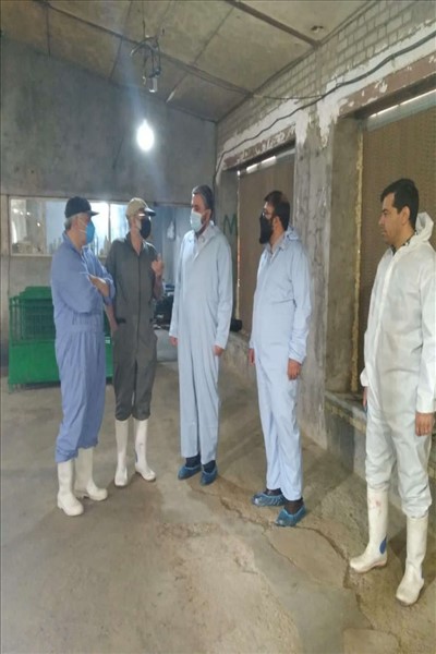 بازدید فرماندار ملارد از طرح های