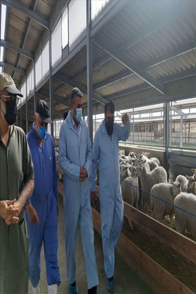 بازدید فرماندار ملارد از طرح های