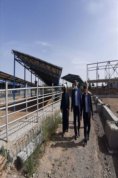 با هدف رفع موانع و مشکلات واحدهای