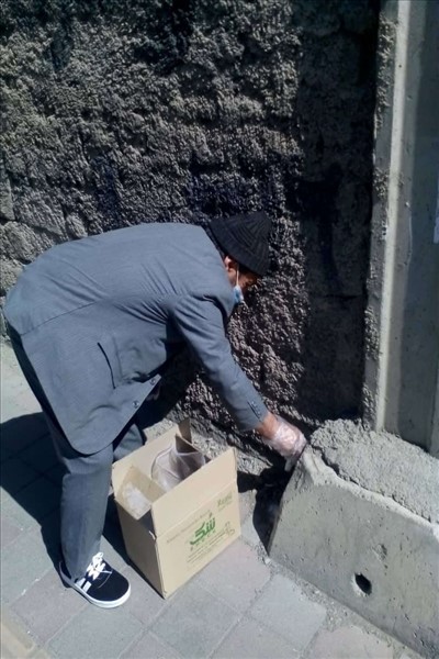 طعمه گذاری در سطح شهرآغاز شد.

