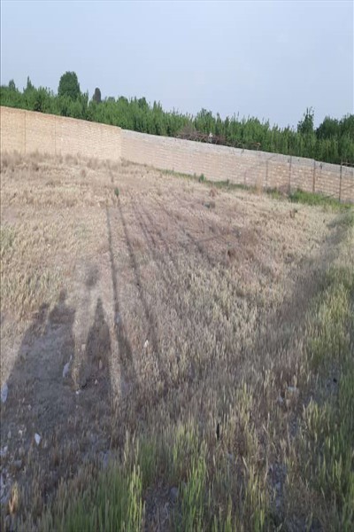  بررسی فوری وضعیت اضطراری آب کشاورزی