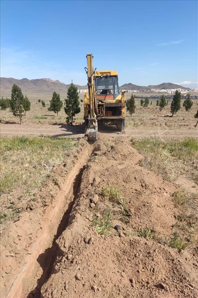 عملیات سم پاشی درختان قپچاق انجام