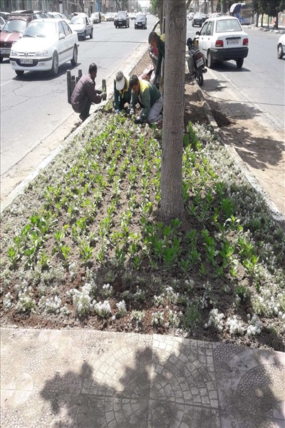 شهرداری ملارد برای تحقق سرانه های